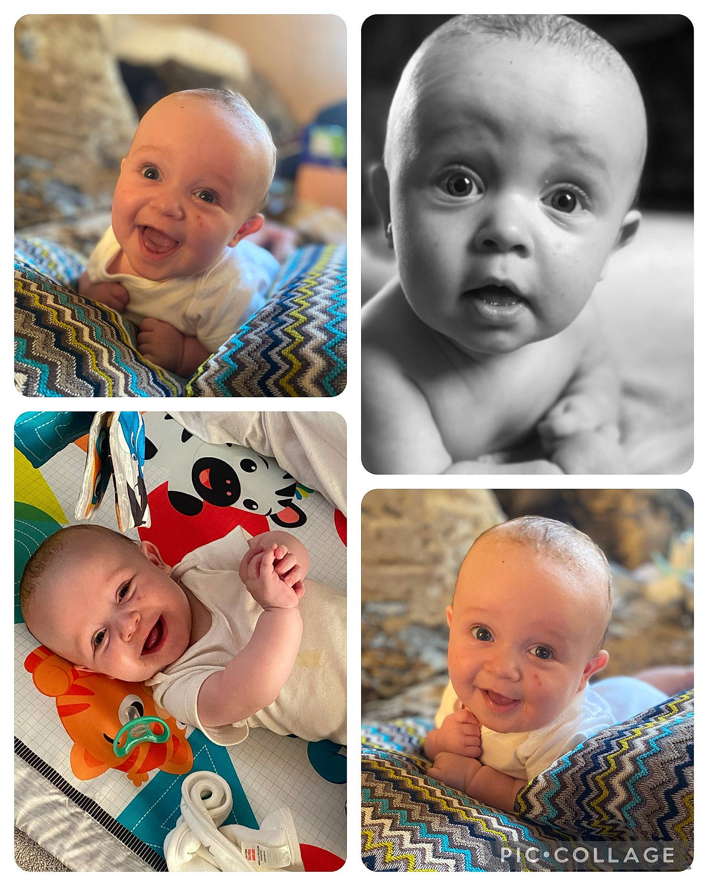 George is registered to the contest to win money with this photo: blue, cheek, chin, eye, eyebrow, face, facial_expression, hairstyle, happy, head, human, joy, mammal, mouth, nose, organ, person, photograph, product, skin