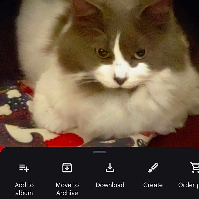 Kitty Parra