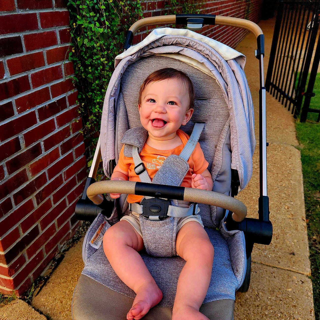 Harper