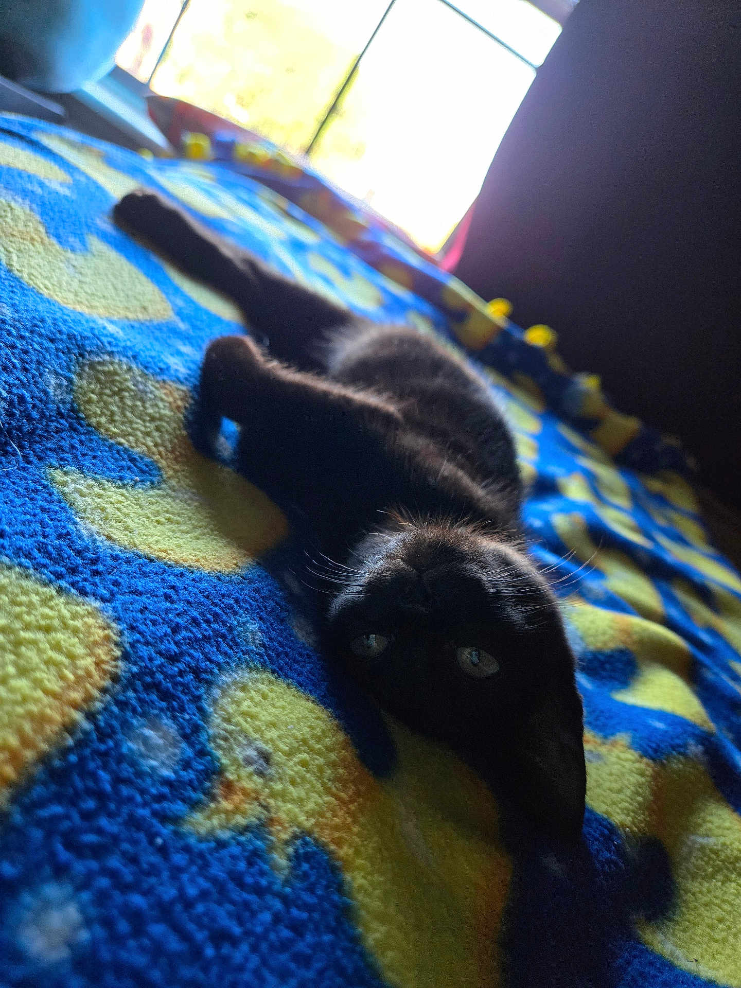 Gigi