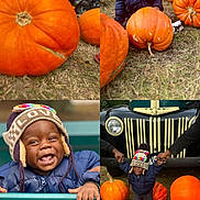 Zymir joined the competition — help win amazing prizes! child, toddler, pumpkin, hat, winter_clothing, jacket, outdoor, autumn, smiling, laughing, vintage_car, ford, grass, people, festival, holding_hands, colorful, playful, nature, daylight
