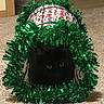 Chico joined the competition — help win amazing prizes! cat, black_cat, festive, green_garland, tunnel, indoor, carpet, decorations, eyes, pet, animal, holiday, wrapping_paper, cute, cozy, dark, feline, home, shiny, playful