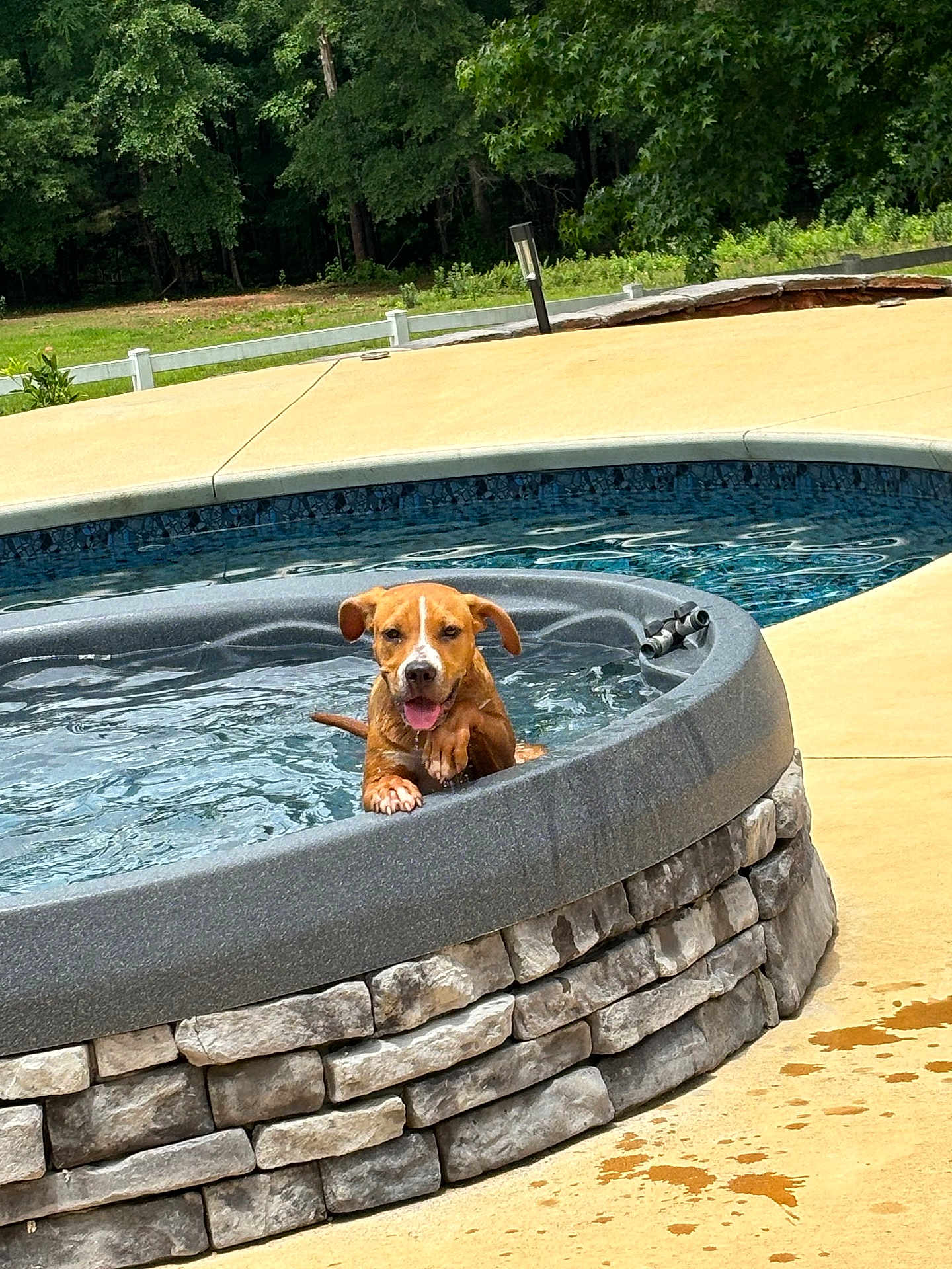 Bailey
