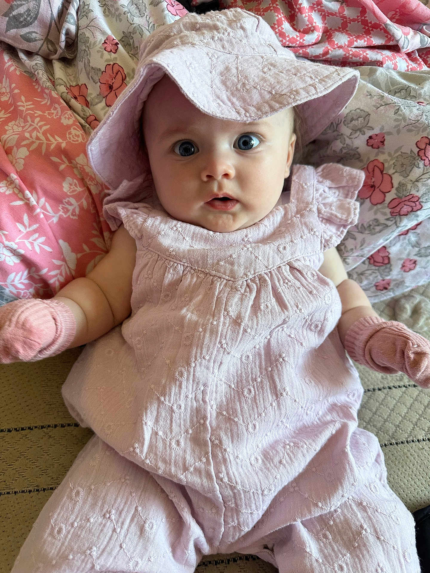 Aurora-Rose