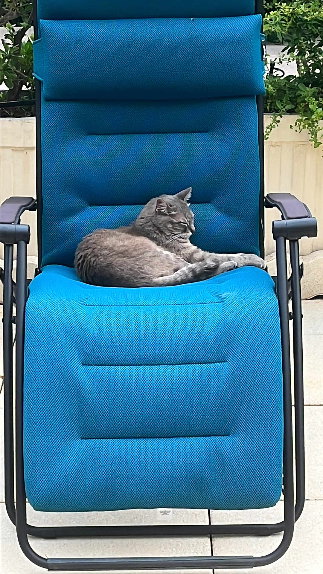 Tina