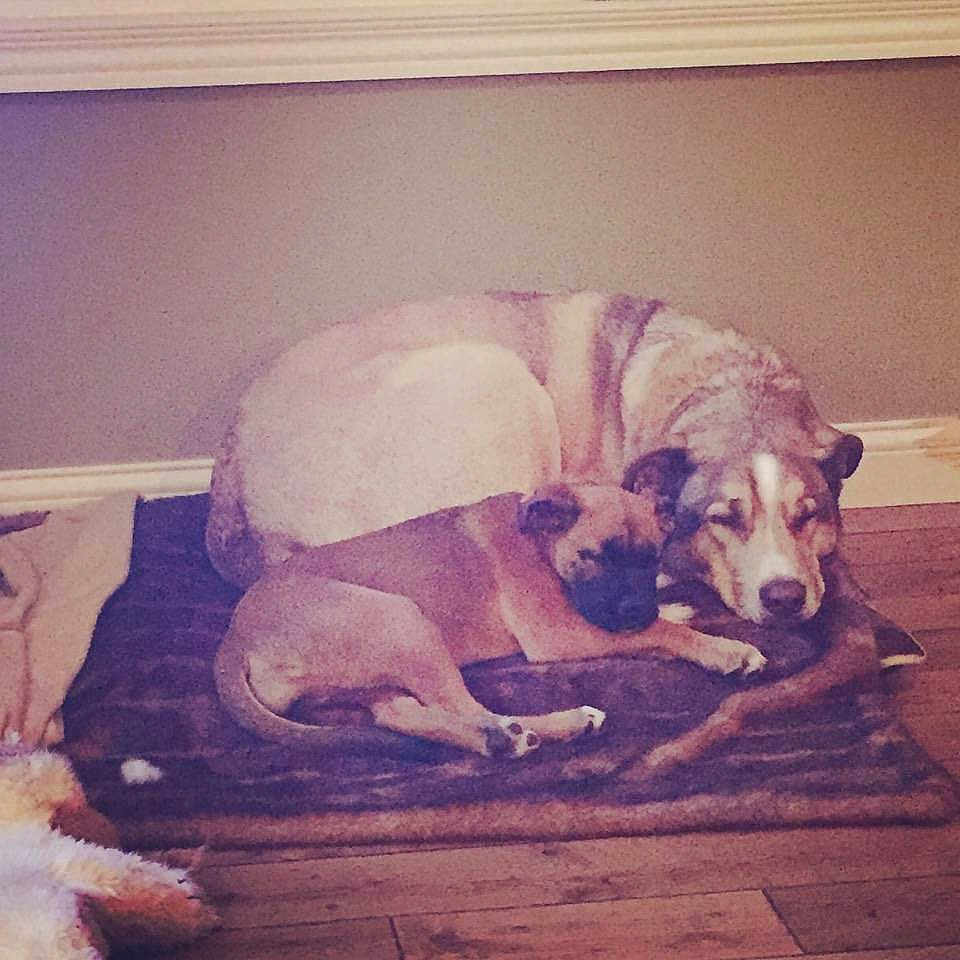 Thor is registered to the contest to win money with this photo: