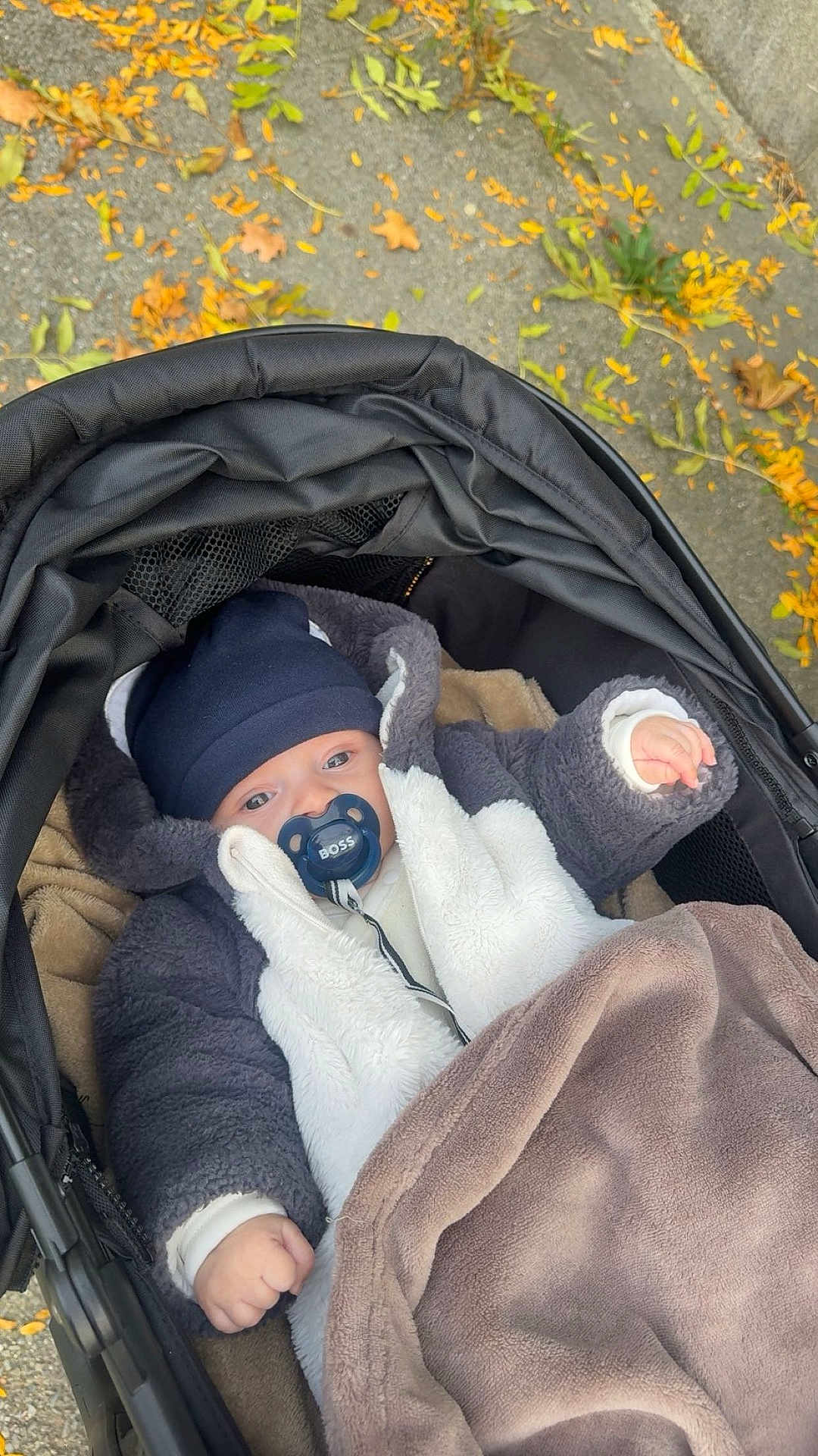 Zayn participe au concours pour gagner de l'argent avec cette photo : baby, stroller, pacifier, hat, jacket, blanket, autumn, leaves, outdoor, child, cute, warm_clothing, infant, cozy, fall, pavement, person, baby_clothes, relaxing, wrapped