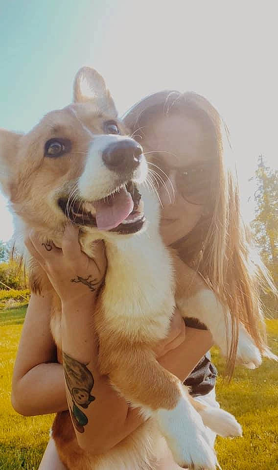 Ronnie James Dio joined the competition — help win amazing prizes! canidae, cardigan_welsh_corgi, carnivore, companion_dog, dog, dog_breed, fawn, nose, pembroke_welsh_corgi, welsh_corgi