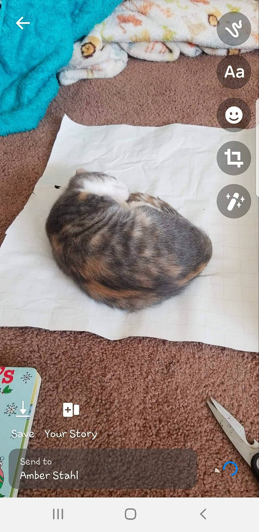 Jupiter is registered to the contest to win money with this photo: carnivore, cat, comfort, cutlery, domestic_short_haired_cat, electronic_device, felidae, font, fork, fur, grey, kitchen_utensil, linens, pattern, small_to_medium_sized_cats, tableware, tail, textile, whiskers, wood