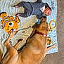 baby, dog, blanket, pacifier, carpet, indoor, child, pet, cute, sleeping, animal, resting, blue_clothing, floor, friendship, lying_down, toddler, comfort, cozy, playful