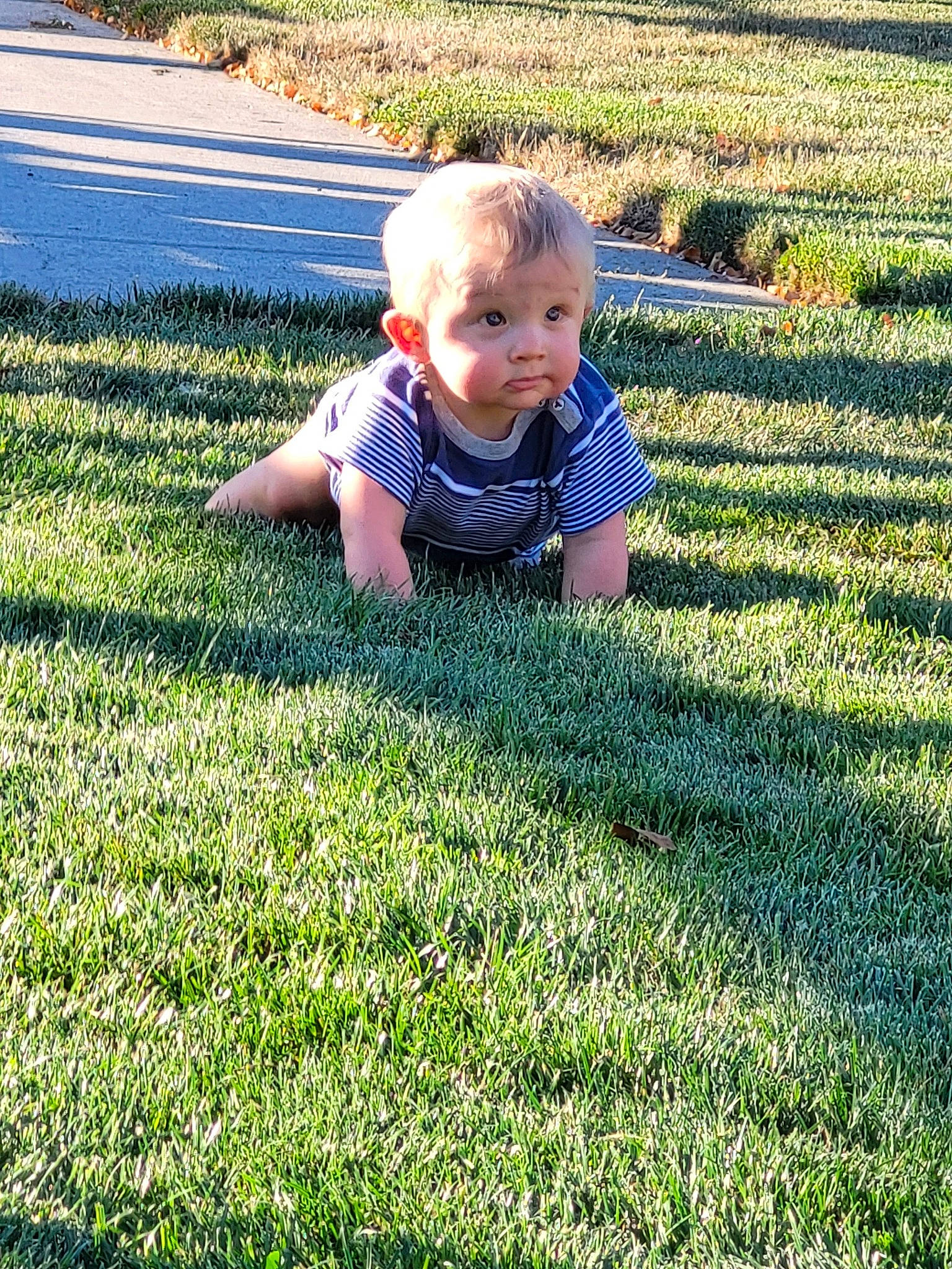 Briggs joined the competition — help win amazing prizes! baby, baby_toddler_clothing, child, crawling, flooring, fun, garden, grass, grass_family, grassland, groundcover, happy, landscape, lawn, people_in_nature, person, plant, sitting, soil, sunlight