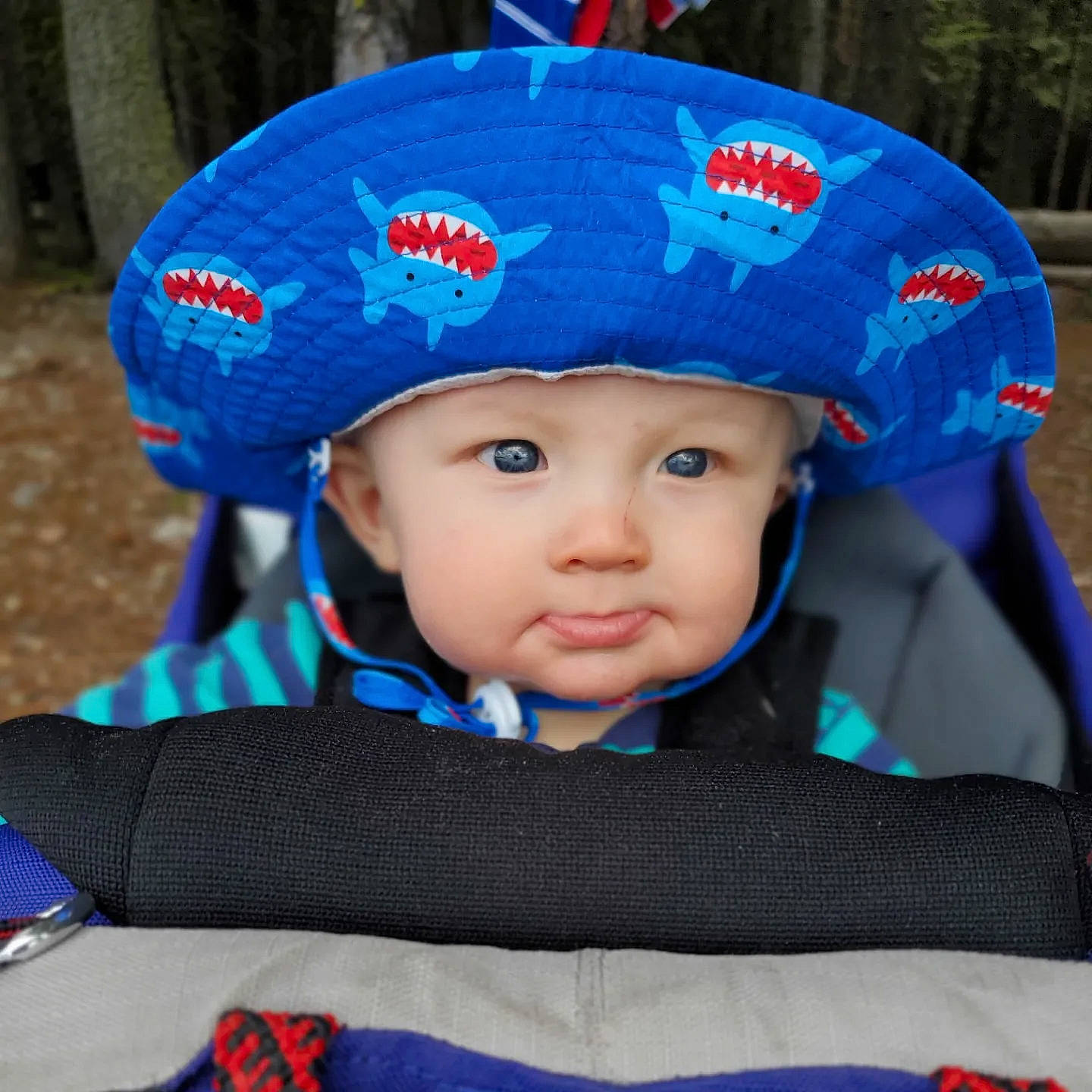 Briggs joined the competition — help win amazing prizes! baby, baby_carriage, baby_products, baby_toddler_clothing, beanie, blue, cap, child, costume_hat, electric_blue, fashion_accessory, fun, hat, headgear, headwear, helmet, knit_cap, person, personal_protective_equipment, photograph