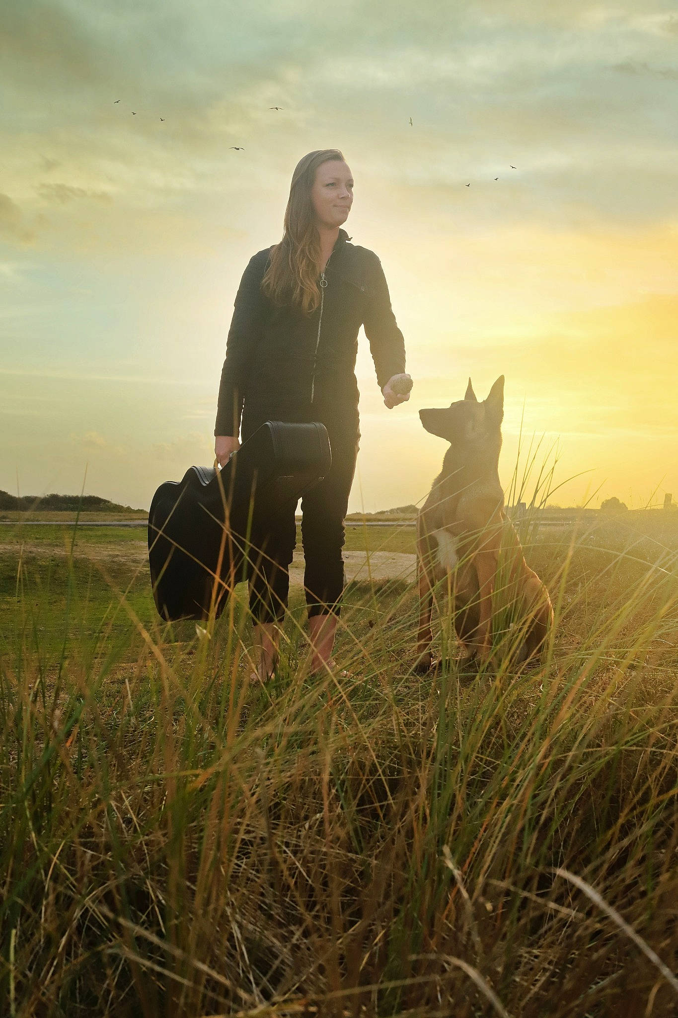 Pablo a rejoint le concours — aidez-le/la à gagner de superbes lots ! backlighting, carnivore, cloud, dog, dog_breed, fawn, flash_photography, grass, grassland, happy, landscape, pasture, people_in_nature, prairie, recreation, sky, sporting_group, sunrise, tire, working_animal