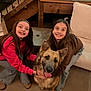 Nash is registered to the contest to win money with this photo: casual_clothing, child, couch, crouching, dog, family, floor, friendship, german_shepherd, girl, happy, indoor, jeans, long_hair, pet, smile, staircase, sweatshirt, tongue_out, wood