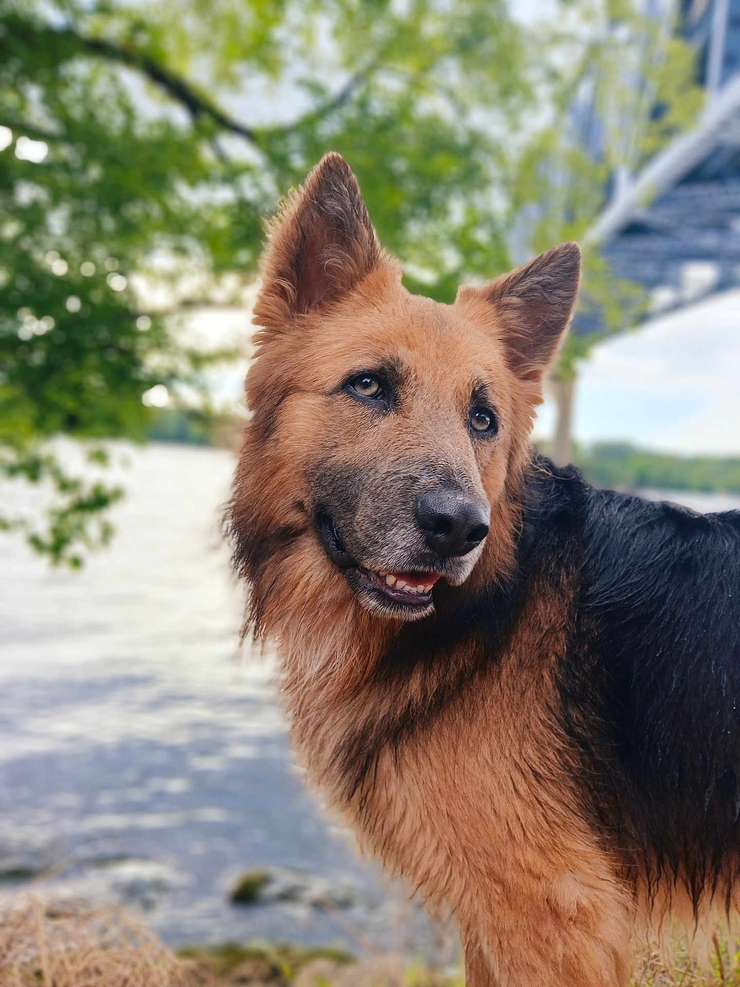 Nash