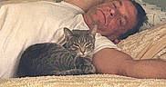 Dabnee Ann Zidek joined the competition — help win amazing prizes! man, cat, bed, white_shirt, tabby_cat, relaxing, indoor, pillow, blanket, bedroom, resting, pet, feline, human, comfort, cozy, lying_down, arm, fur, sleepy