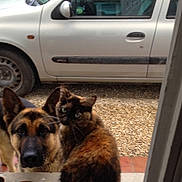 Ercule participe au concours pour gagner de l'argent avec cette photo :