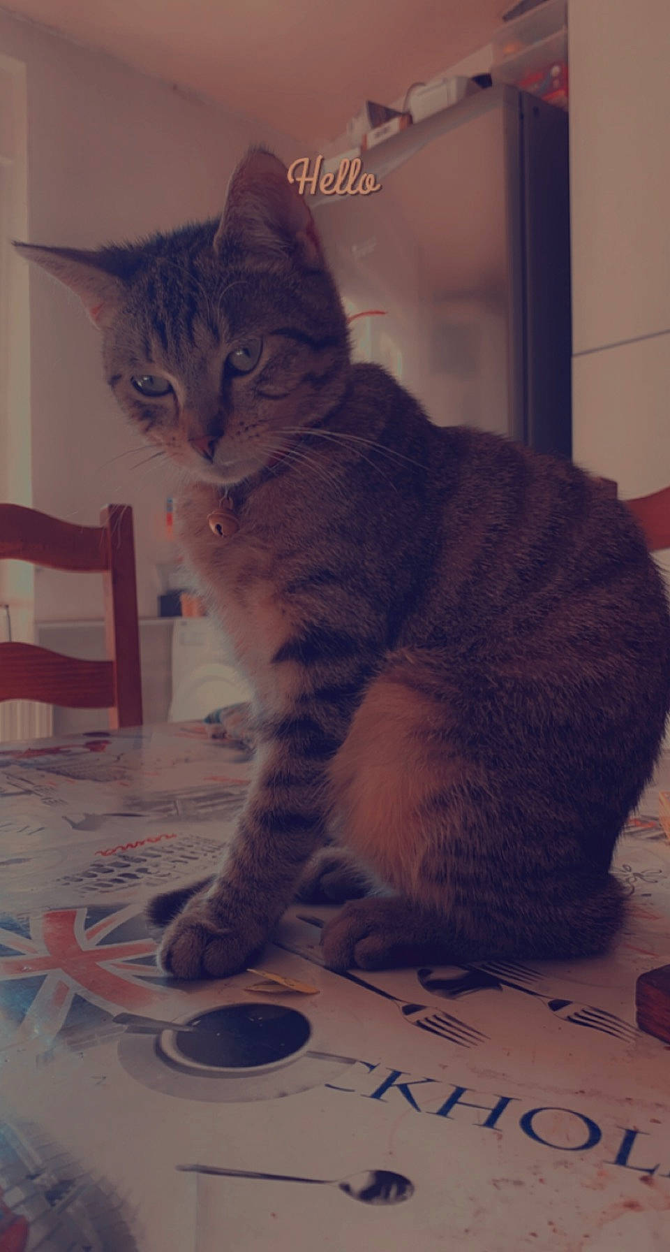 Tigrou