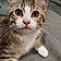 Arlo