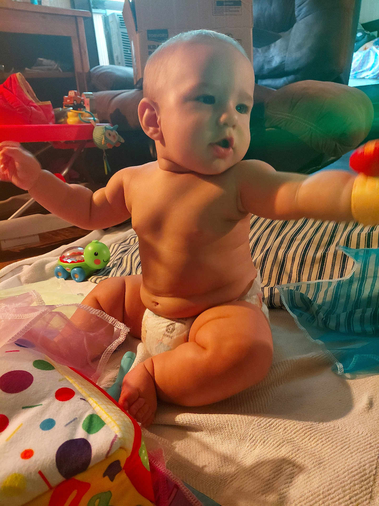 Alexander