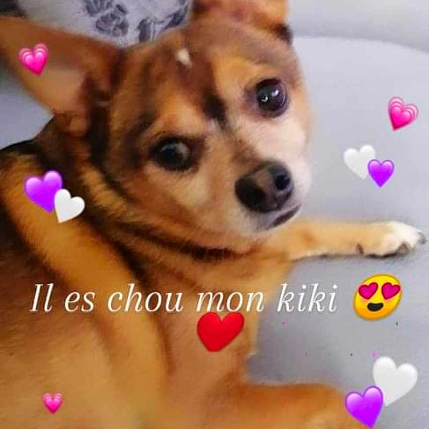 Luky