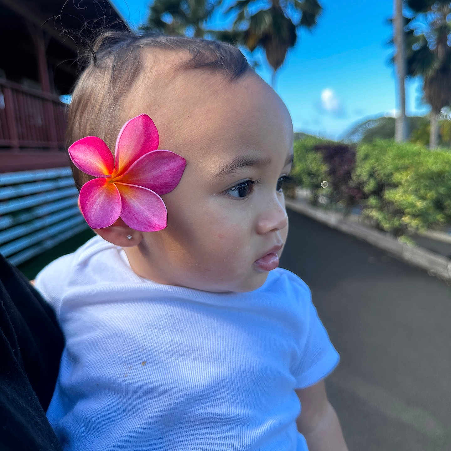 Tiaho Mai is registered to the contest to win money with this photo: child, cute, daylight, earring, flower, greenery, holding, nature, outdoor, palm_trees, person, pink_flower, portrait, short_hair, side_view, skin, sky, thoughtful, toddler, white_shirt