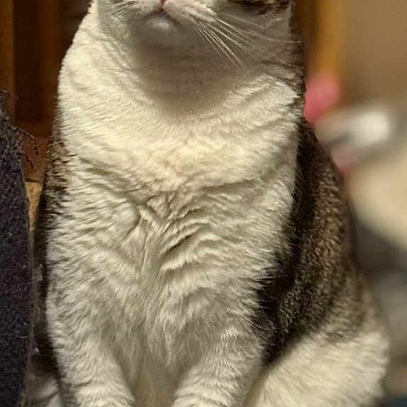 Mia