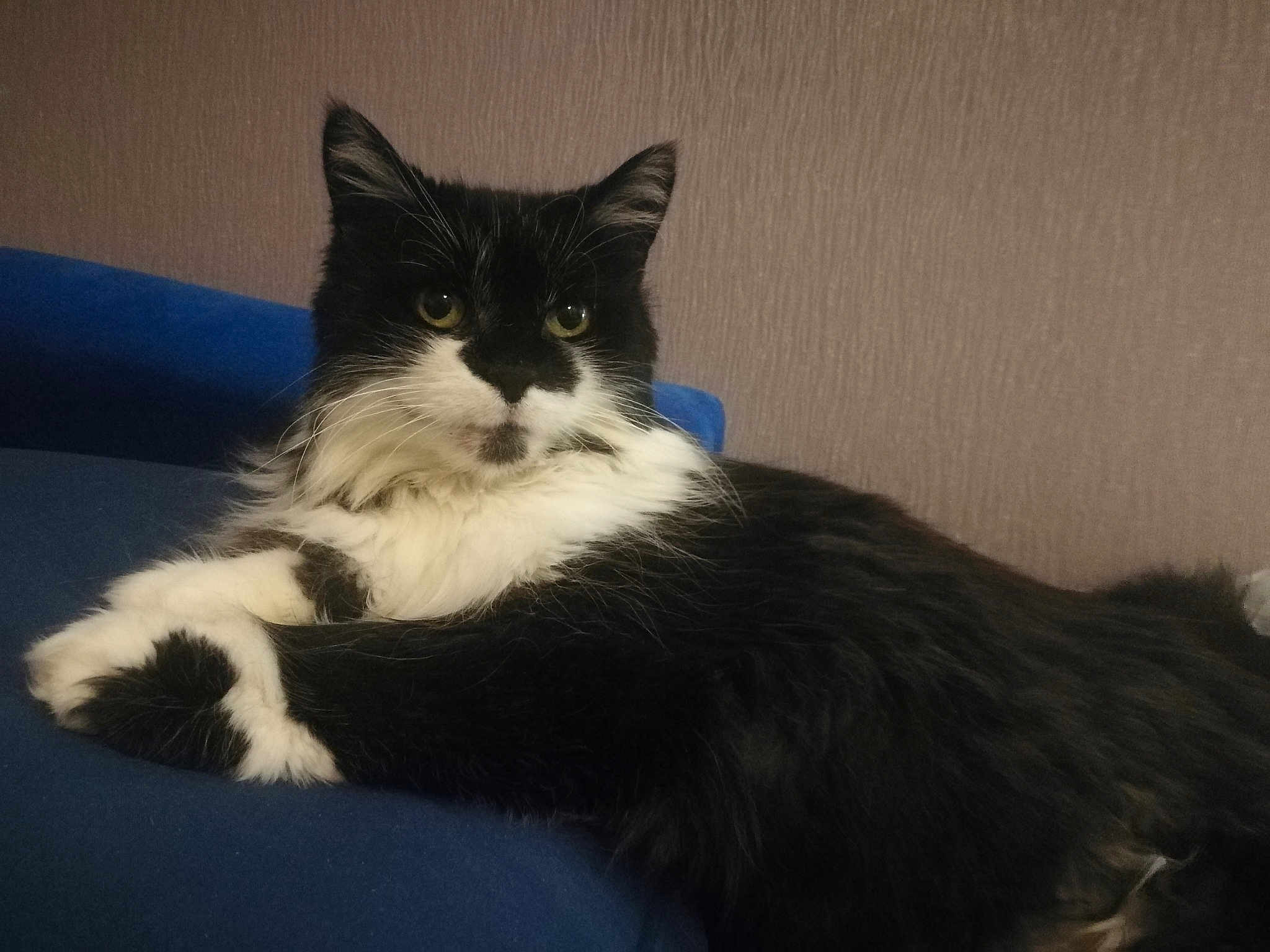 Mikette