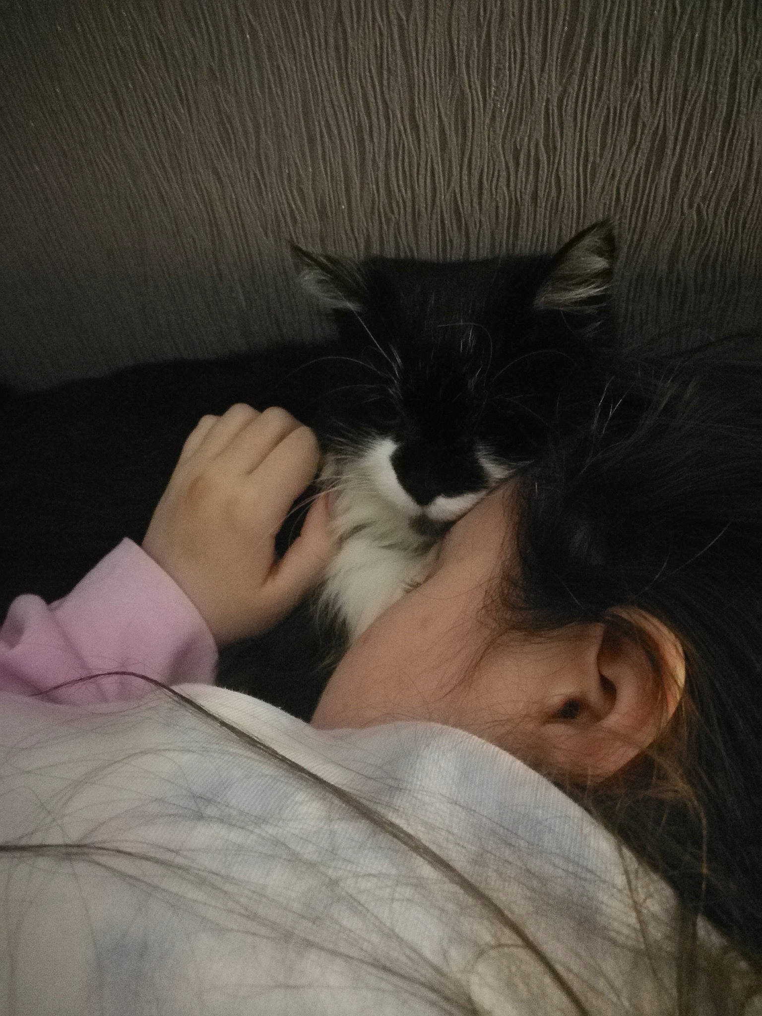 Miquette a rejoint le concours — aidez-le/la à gagner de superbes lots ! black_hair, carnivore, cat, cloud, comfort, ear, felidae, foot, fur, gesture, hair, human_body, human_leg, leg, nail, neck, nose, small_to_medium_sized_cats, vertebrate, whiskers