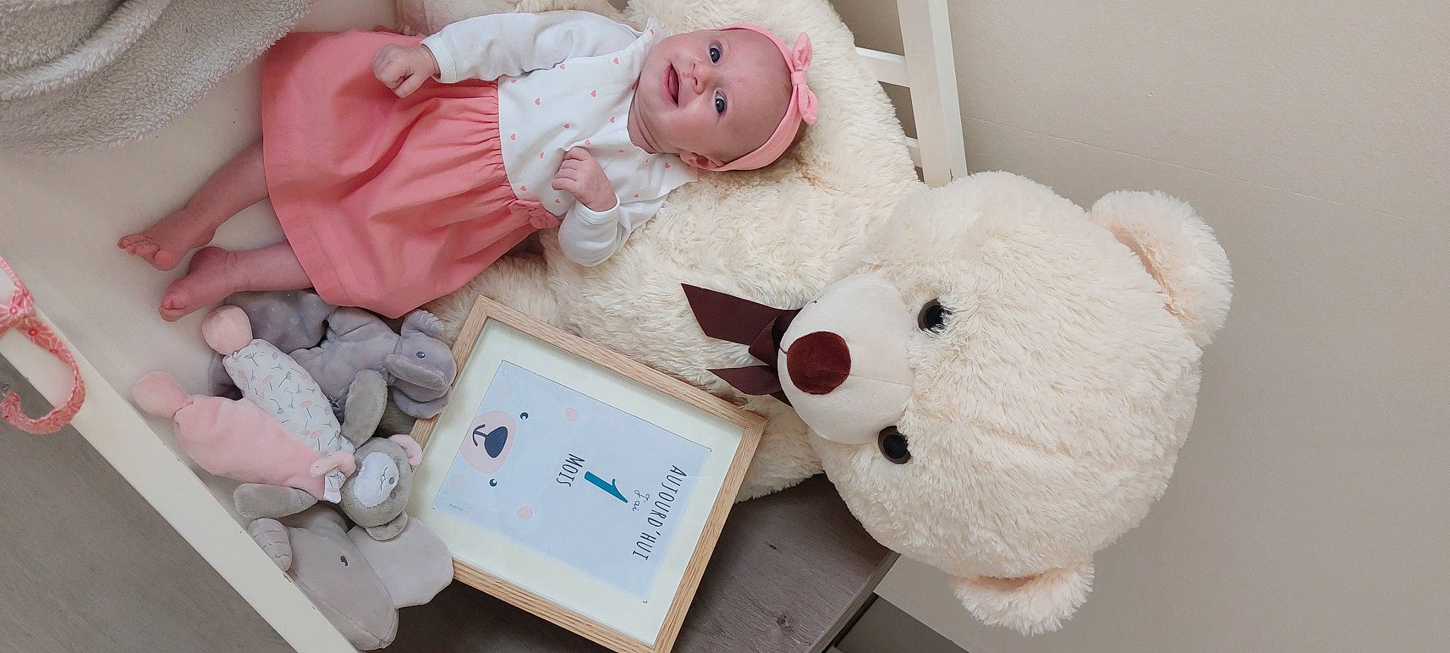 Lalie participe au concours pour gagner de l'argent avec cette photo : baby, baby_sleeping, baby_toddler_clothing, child, comfort, event, fur, headwear, mammal, organ, person, photograph, pink, plush, product, room, stuffed_toy, textile, toddler, toy