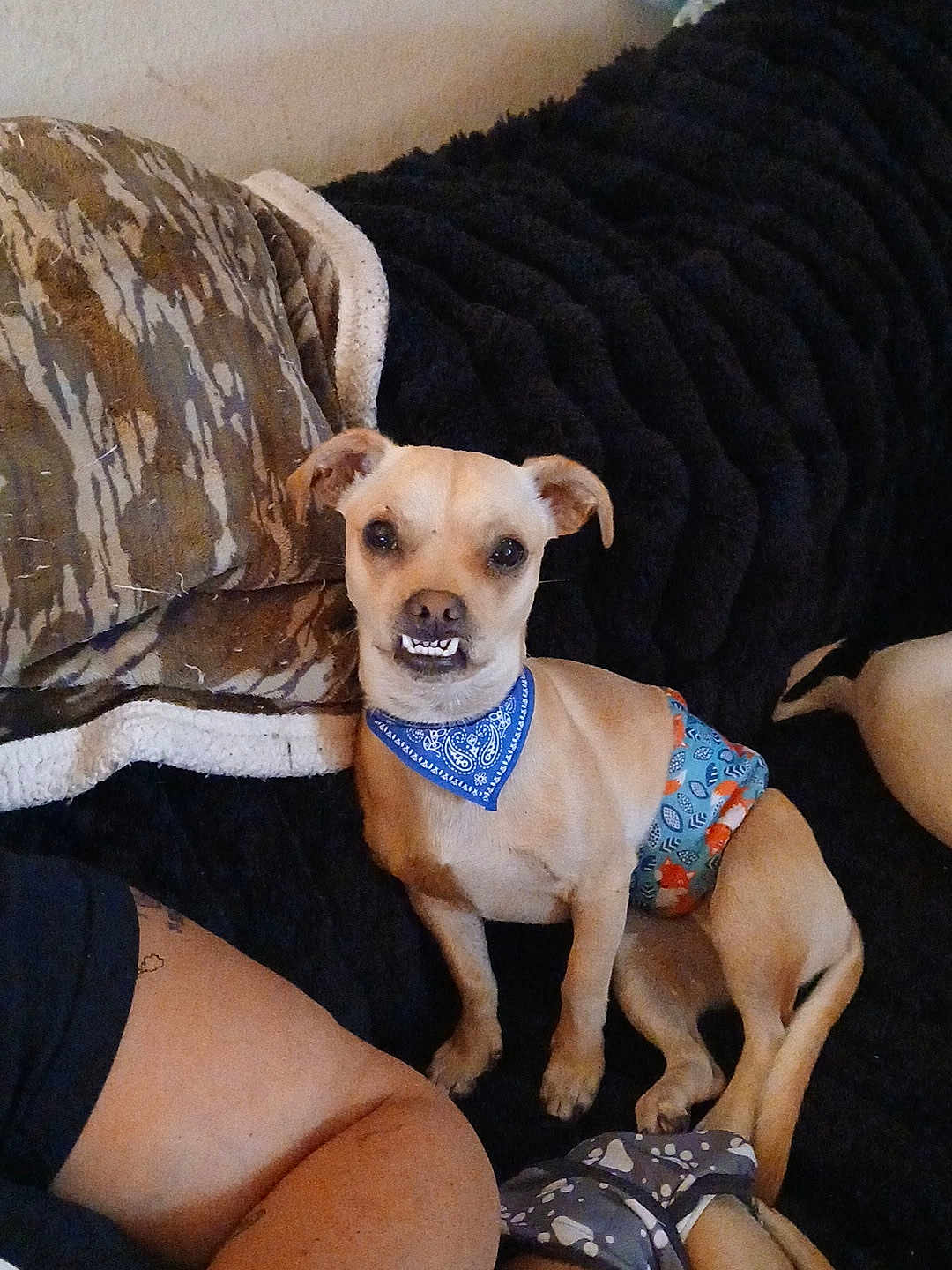 Sid