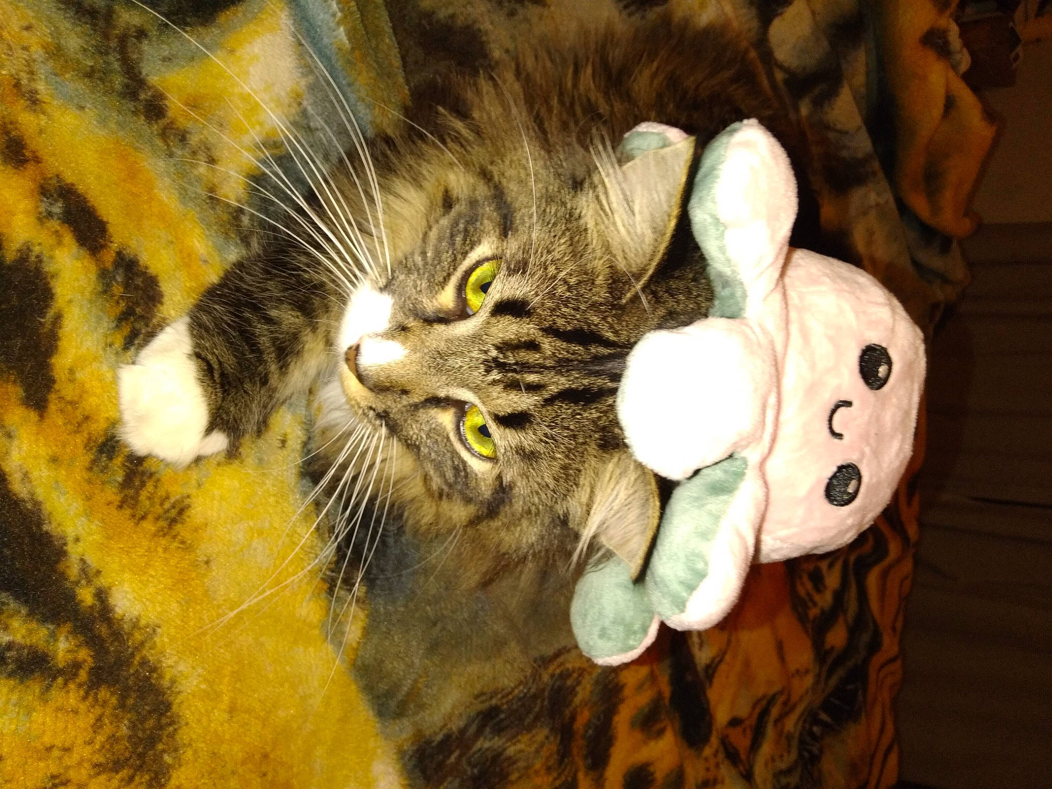 Hawkfrost is registered to the contest to win money with this photo: carnivore, cat, claw, domestic_short_haired_cat, felidae, fur, mammal, paw, small_to_medium_sized_cats, snout, tail, terrestrial_animal, toy, tree, vertebrate, visual_arts, whiskers, wildlife