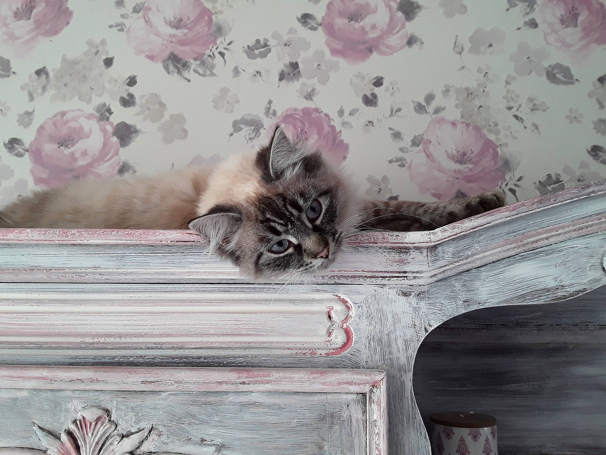 Perle Ou Grosse Touffe