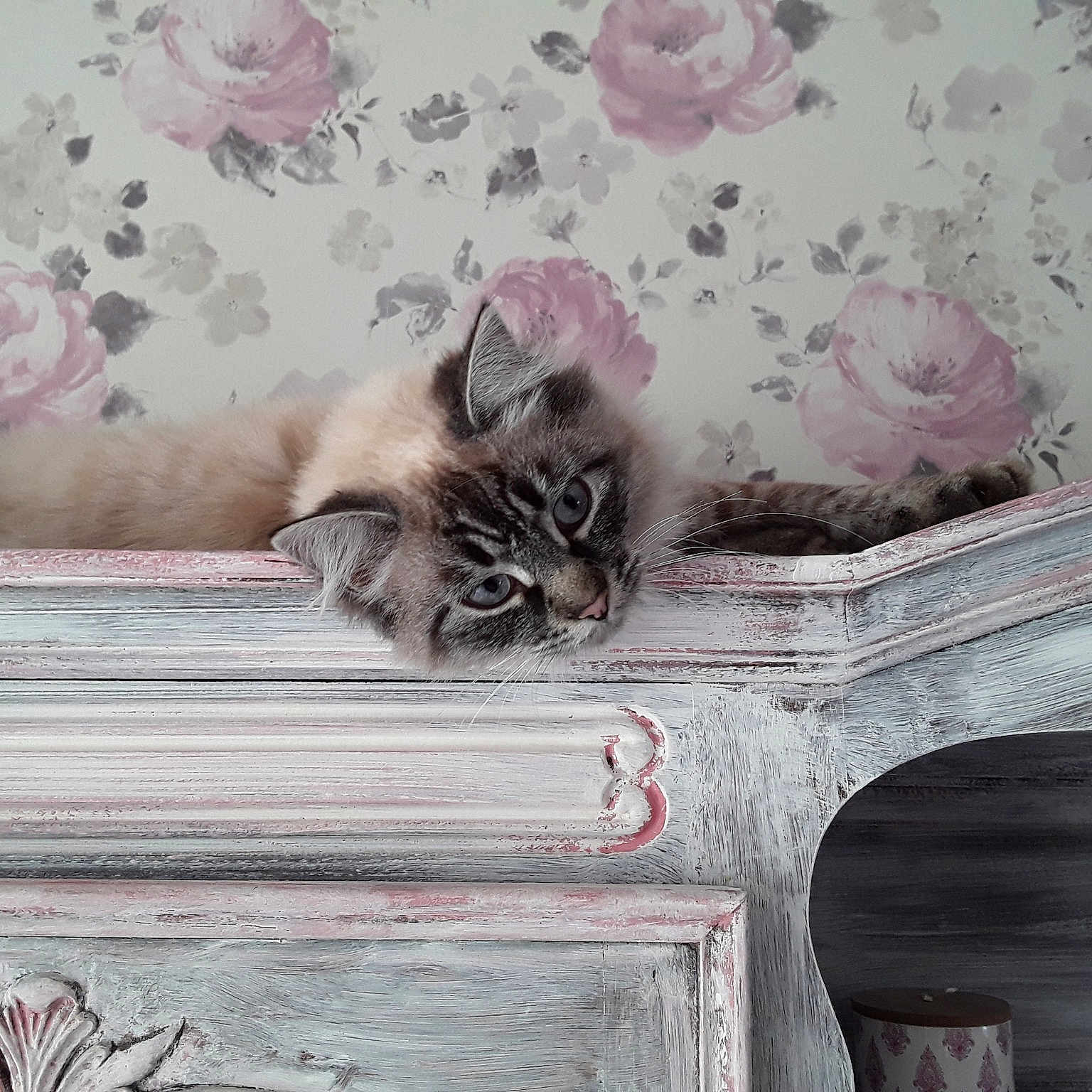 Perle Ou Grosse Touffe