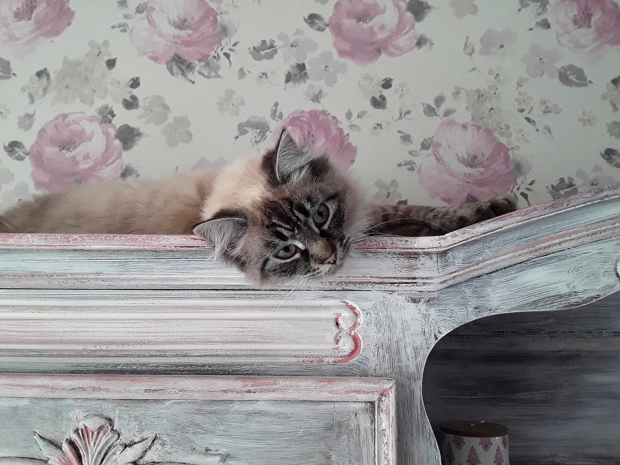 Perle Ou Grosse Touffe