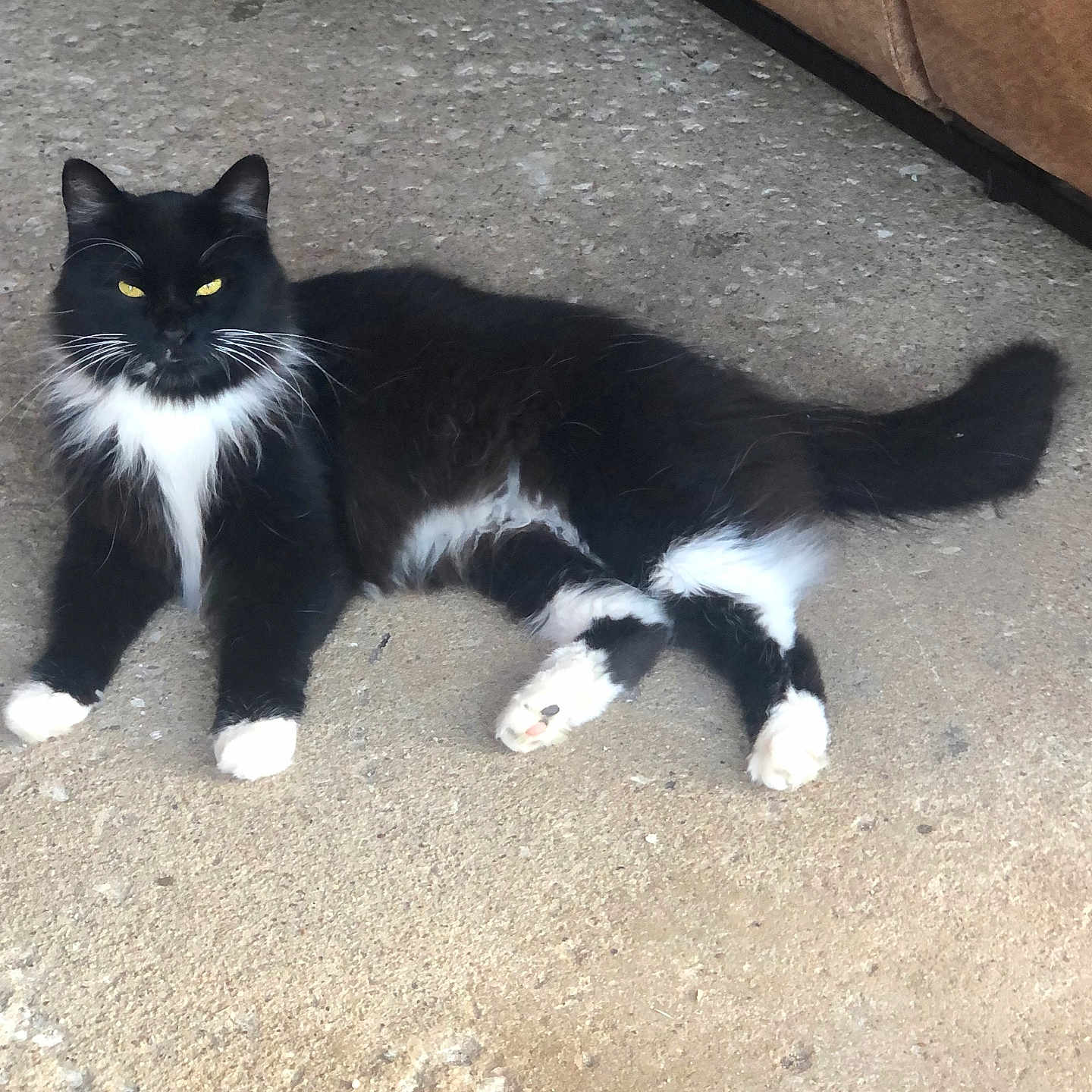 Bootsie