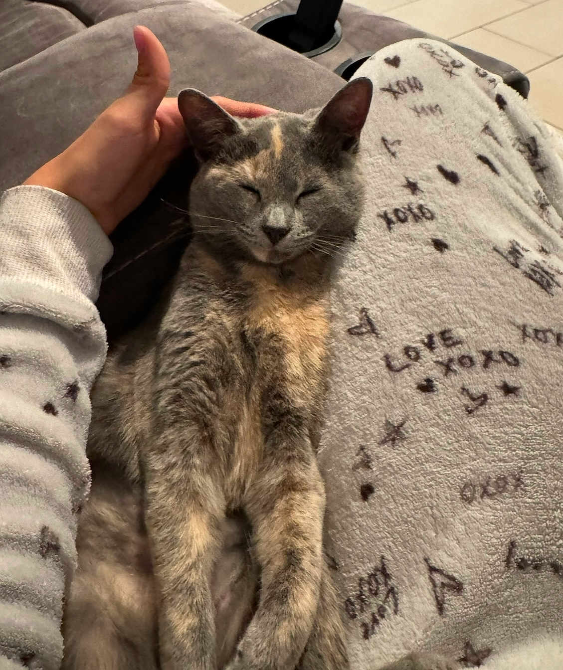Mina joined the competition — help win amazing prizes! cat, tortoiseshell_cat, pet, lap, blanket, pajamas, hand, sofa, indoor, cozy, sleepy, relaxed, fur, whiskers, ears, patterned_fabric, text_on_blanket, comfort, human_hand, portrait