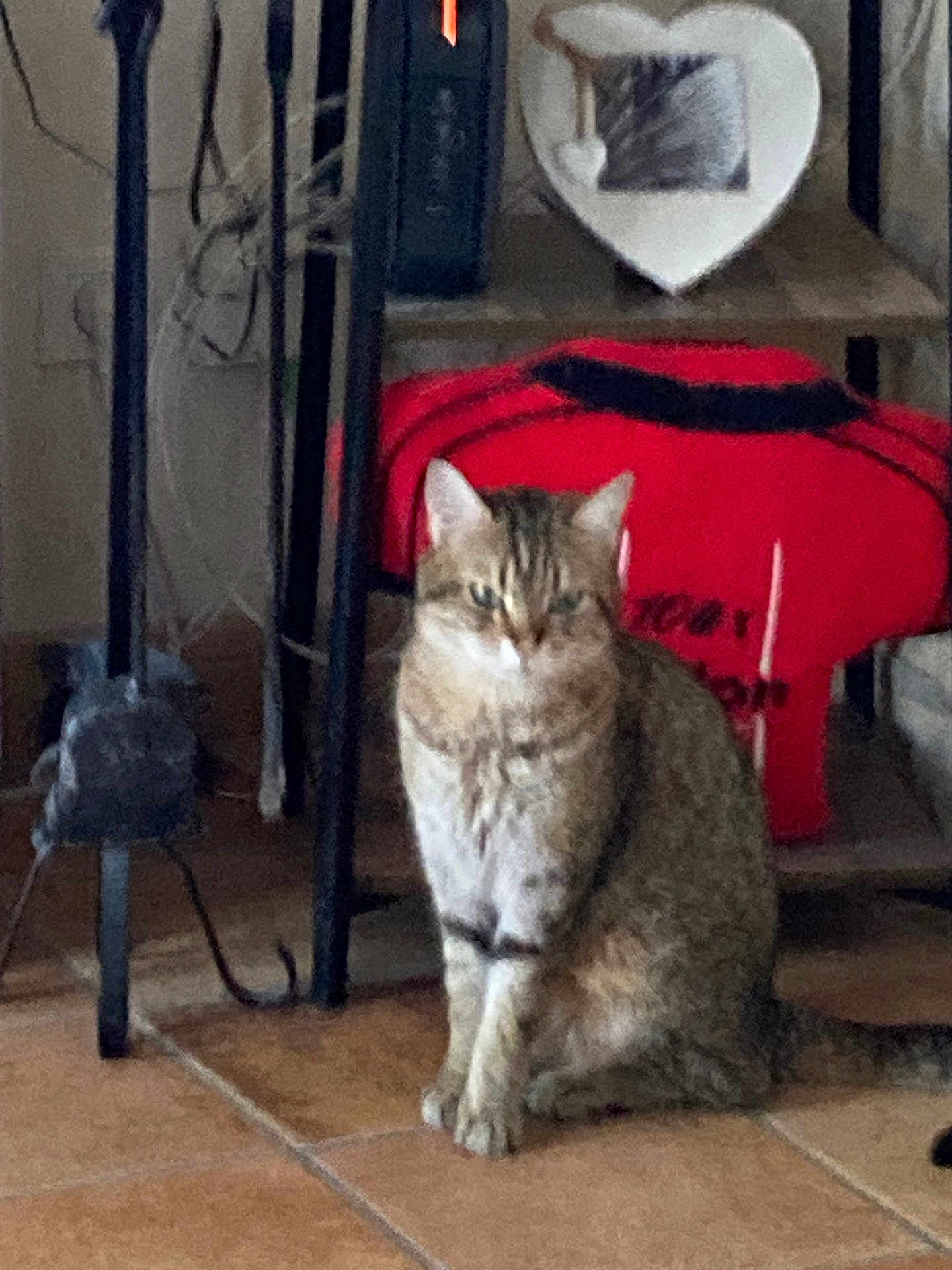 Tina