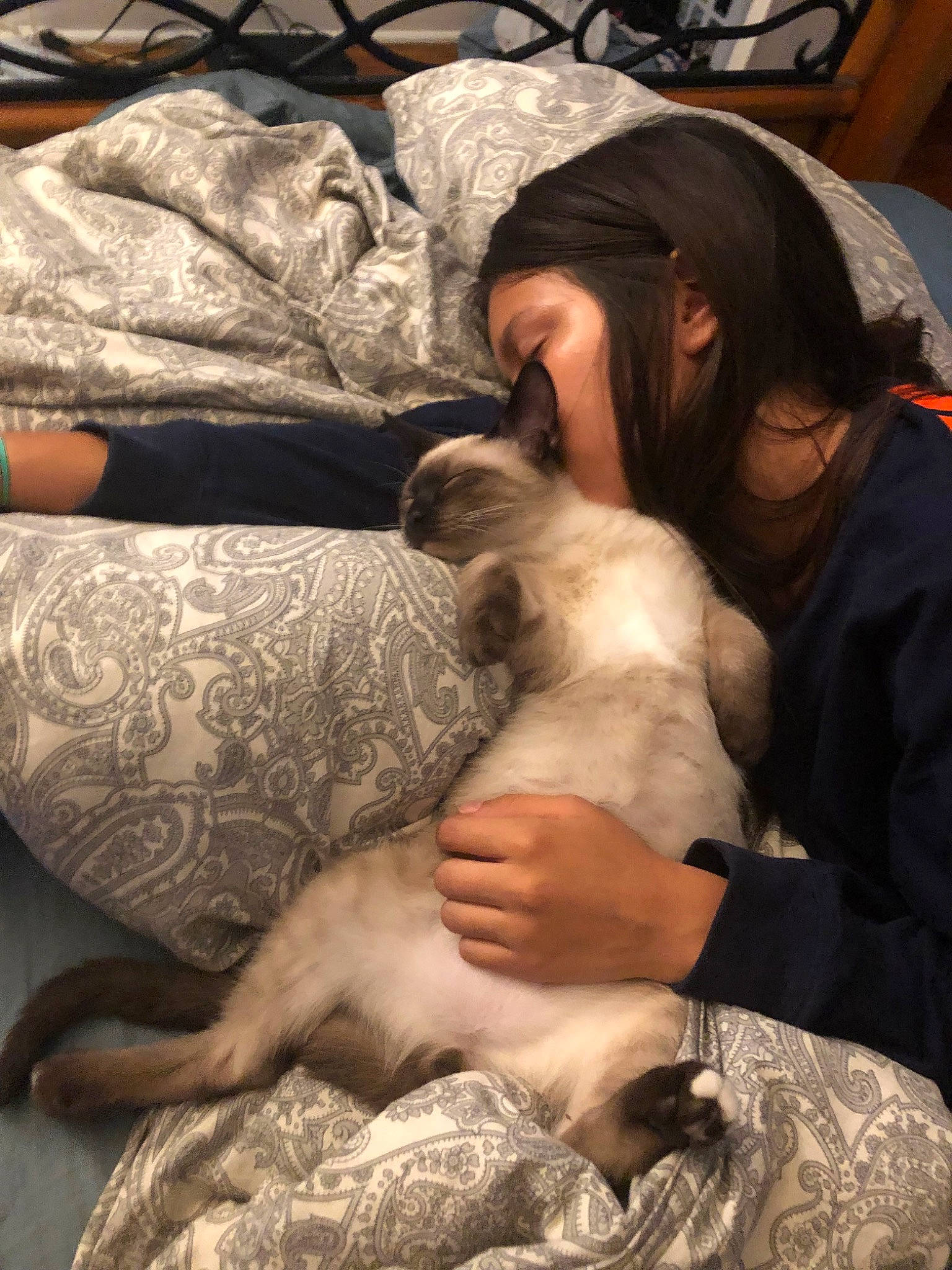 Si is registered to the contest to win money with this photo: canidae, carnivore, companion_dog, dog_breed, fawn, puppy_love, sporting_group