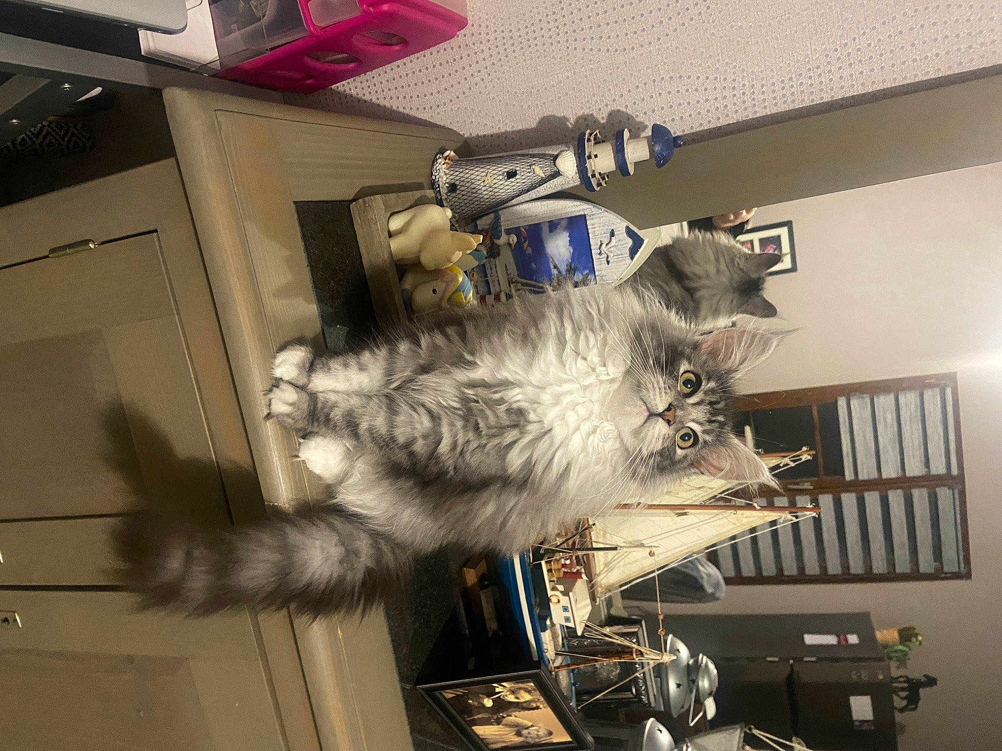 Ursie participe au concours pour gagner de l'argent avec cette photo : aerospace_engineering, engineering, fur, machine, metal, room, space