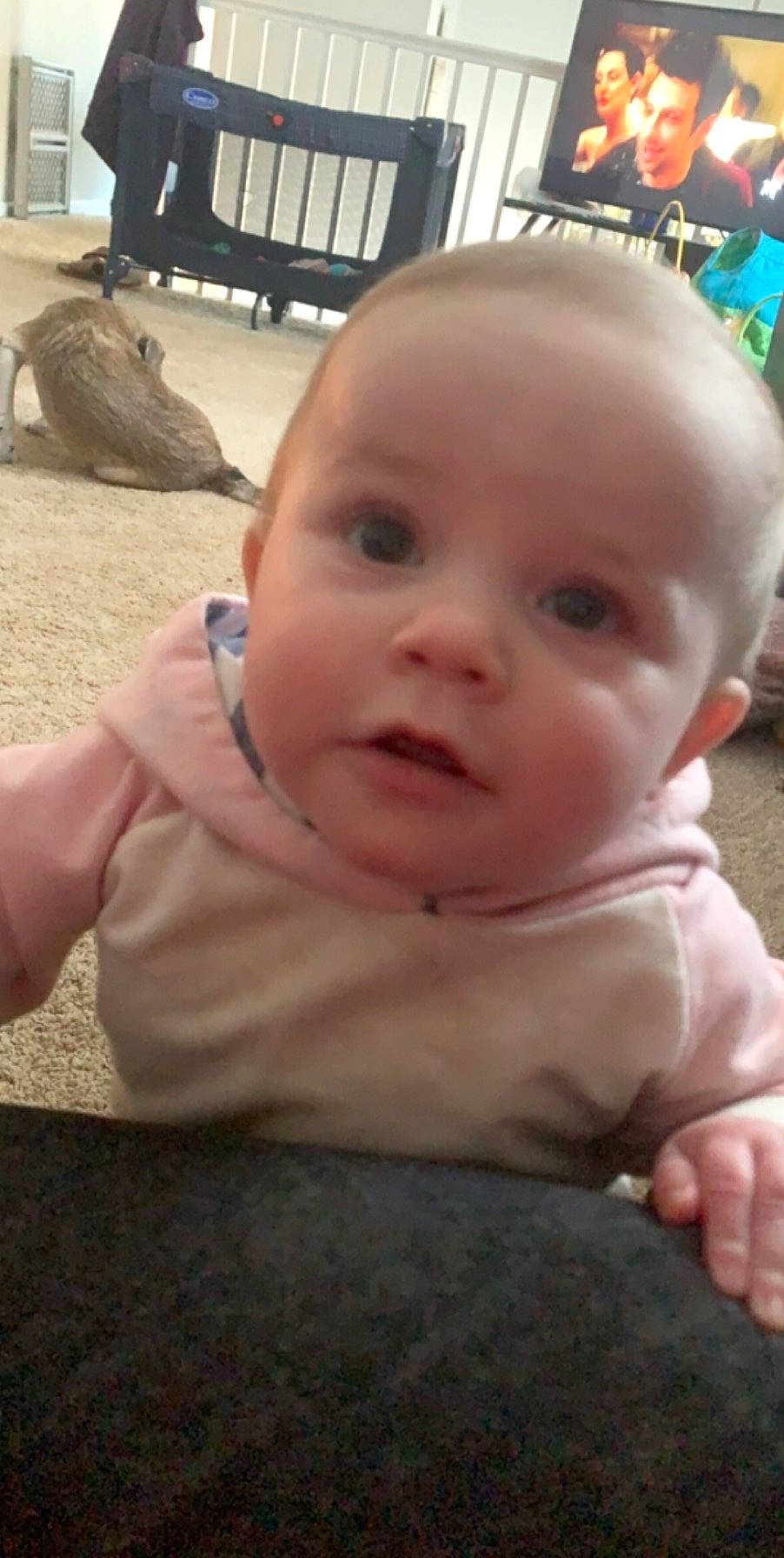 Blakeleigh is registered to the contest to win money with this photo: baby, cheek, child, chin, ear, eye, face, forehead, head, lip, mouth, nose, person, skin, smile, toddler