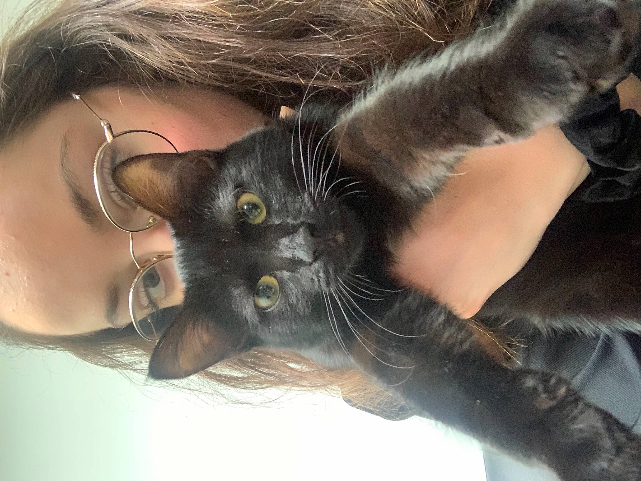 Helmut a rejoint le concours — aidez-le/la à gagner de superbes lots ! black_hair, carnivore, cat, ear, eyebrow, eyelash, eyewear, fawn, felidae, finger, gesture, glasses, iris, neck, nose, skin, small_to_medium_sized_cats, sunglasses, vision_care, whiskers