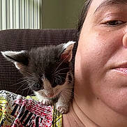 Rambo is registered to the contest to win money with this photo: kitten, cat, person, shoulder, indoor, curious, black_and_white, whiskers, closeup, face, clothing, patterned_shirt, text_on_shirt, soft_light, window_blinds, furniture, skin, pet, animal, cuddly