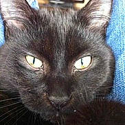 Loulou a rejoint le concours — aidez-le/la à gagner de superbes lots !