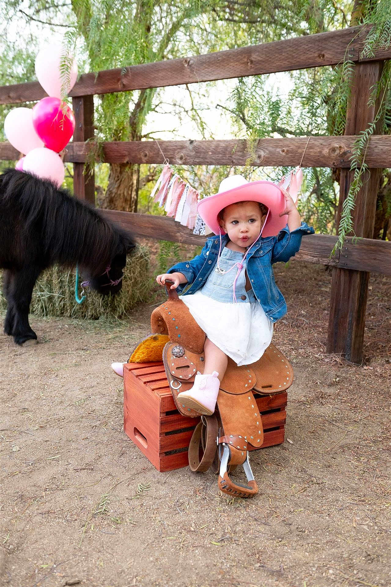 Zaya is registered to the contest to win money with this photo: toddler, child, cowboy_hat, denim_jacket, white_dress, pink_boots, saddle, wooden_crate, pony, hay, balloons, pink_balloons, wooden_fence, outdoor, dirt_ground, festive, decorations, playful, portrait, nature