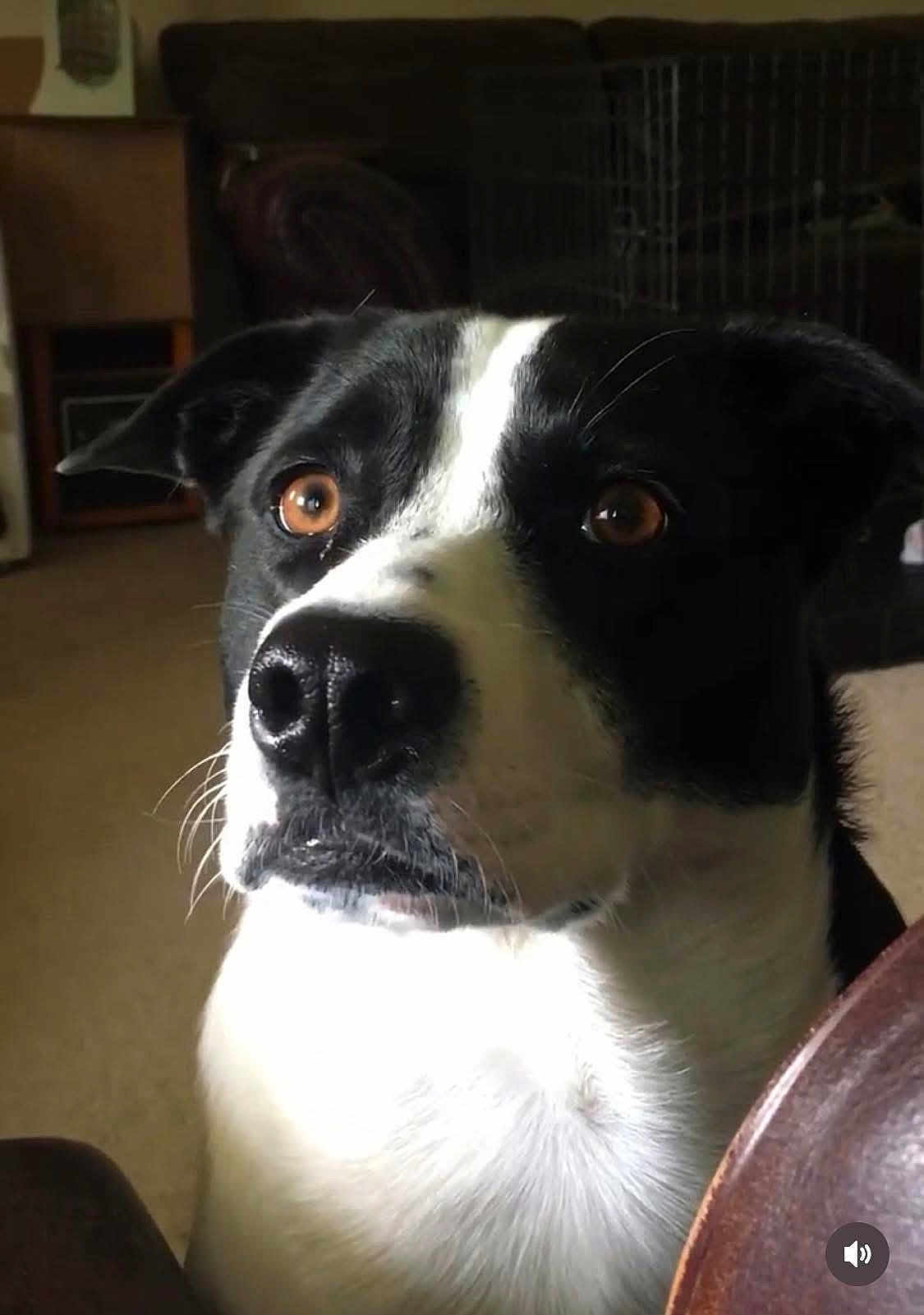 Katie
