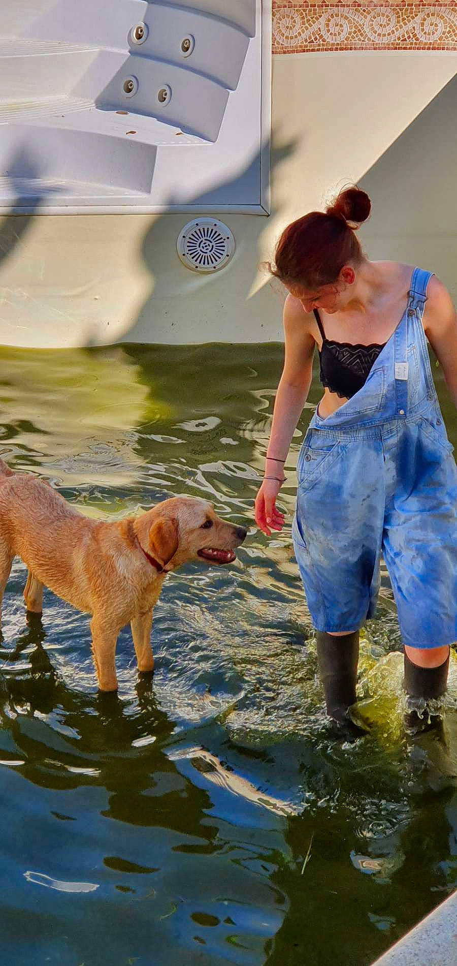 Symba a rejoint le concours — aidez-le/la à gagner de superbes lots ! bathing, canidae, carnivore, companion_dog, dog, dog_breed, fawn, fun, guard_dog, happy, lake, leisure, people_in_nature, recreation, retriever, shorts, sporting_group, tail, vacation, water