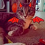 Tatertot is registered to the contest to win money with this photo: cat, gray_cat, white_paws, lying_down, scratchpad, devil_horns, devil_wings, indoor, living_room, pumpkin, carpet, cute, pet, animal, whiskers, ears, closeup, playful, halloween, decor