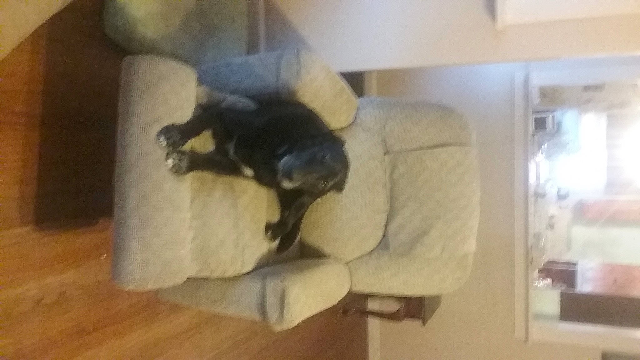 Walter