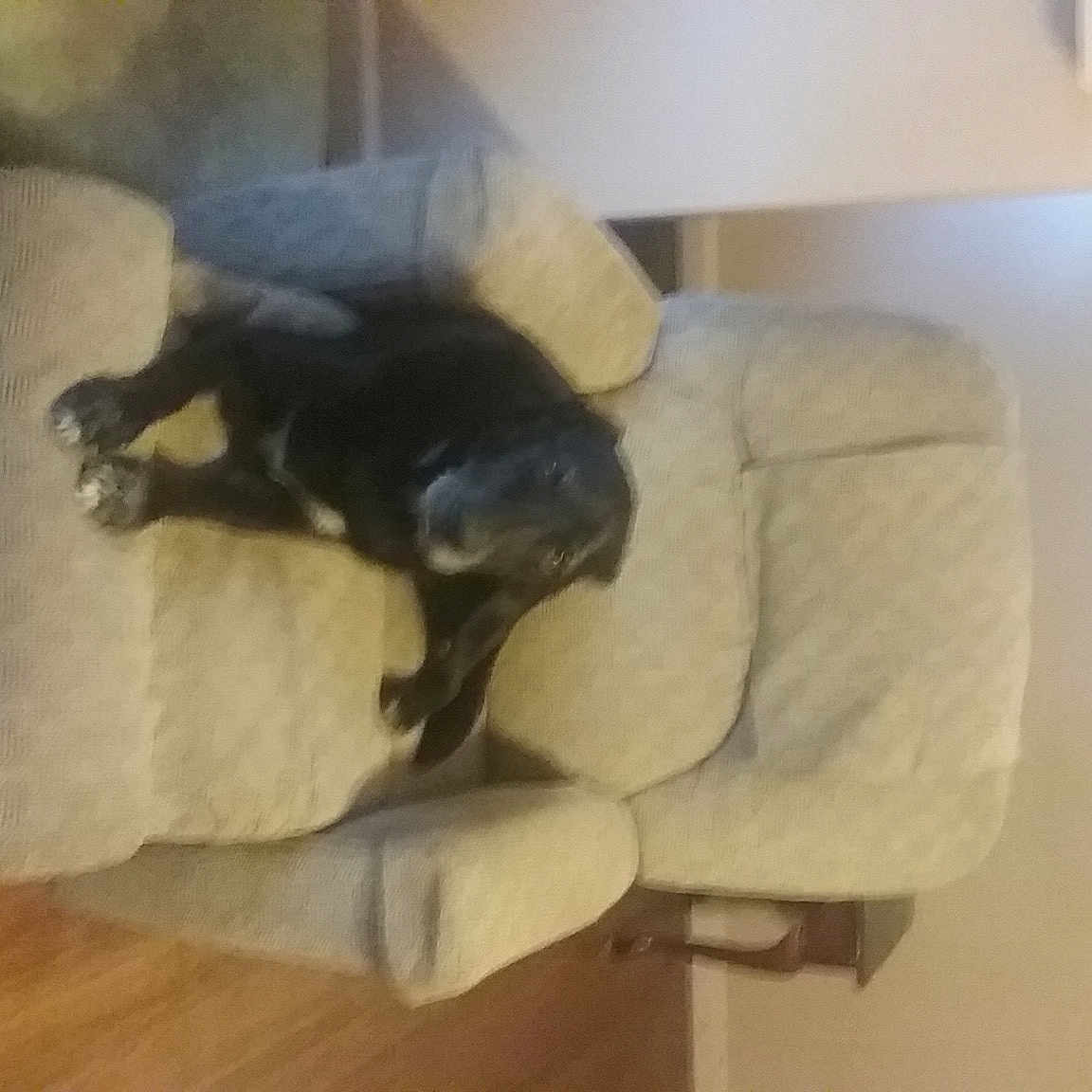 Walter
